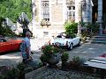 Chat. Bleu 2017_(110)